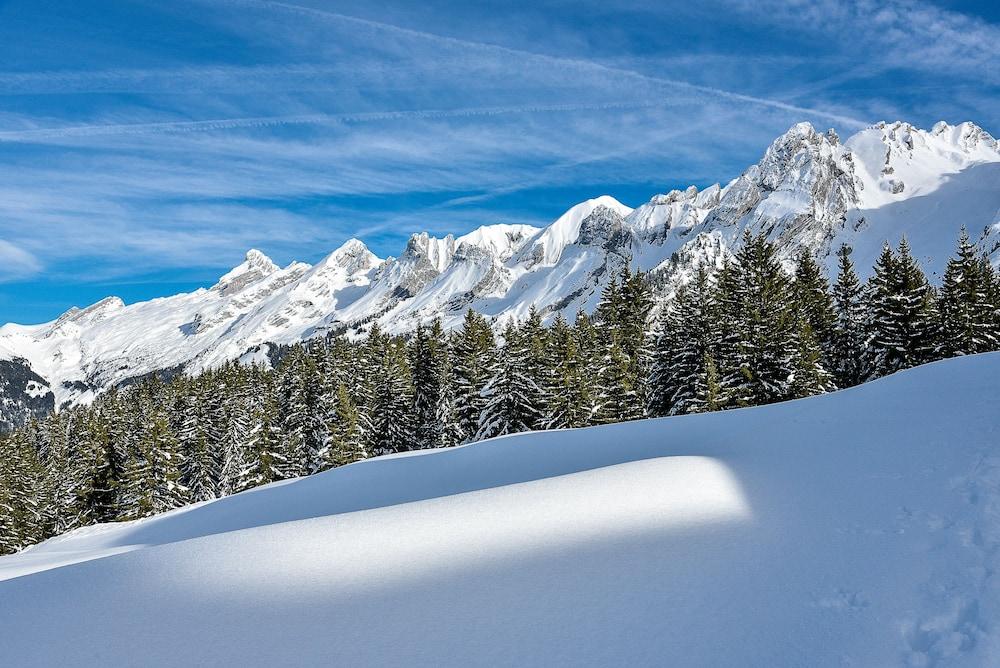 Hotel Alpen Roc La Clusaz Eksteriør bilde